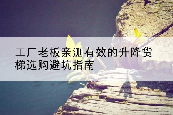 荥经升降货梯怎么选-工厂老板亲测有效的升降货梯选购避坑指南