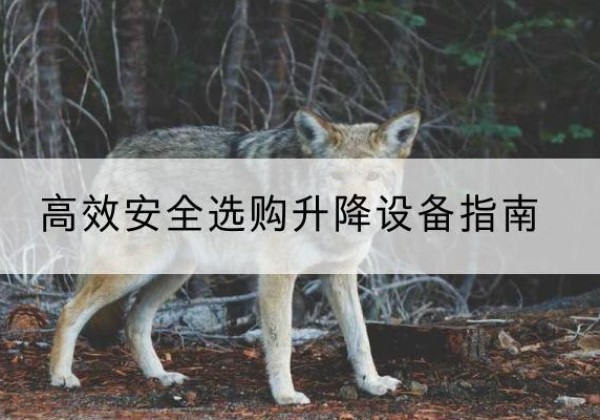 荥经升降货梯厂家推荐-*安全选购升降设备指南