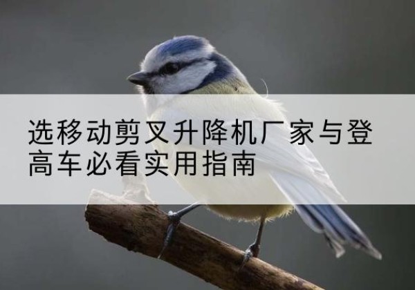 荥经电动升降机厂家-选移动剪叉升降机厂家与登高车必看实用指南