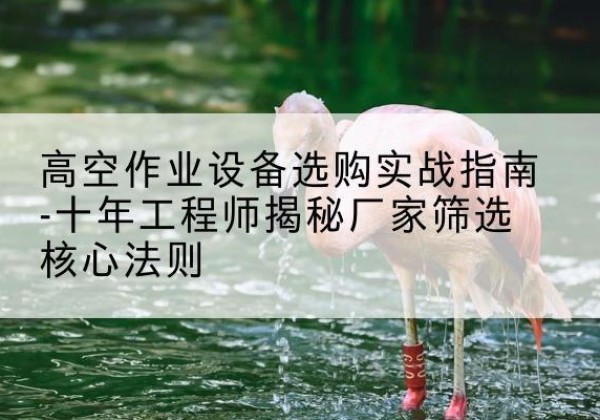 荥经剪叉式升降机厂家-高空作业设备选购实战指南-十年工程师揭秘厂家筛选核心法则